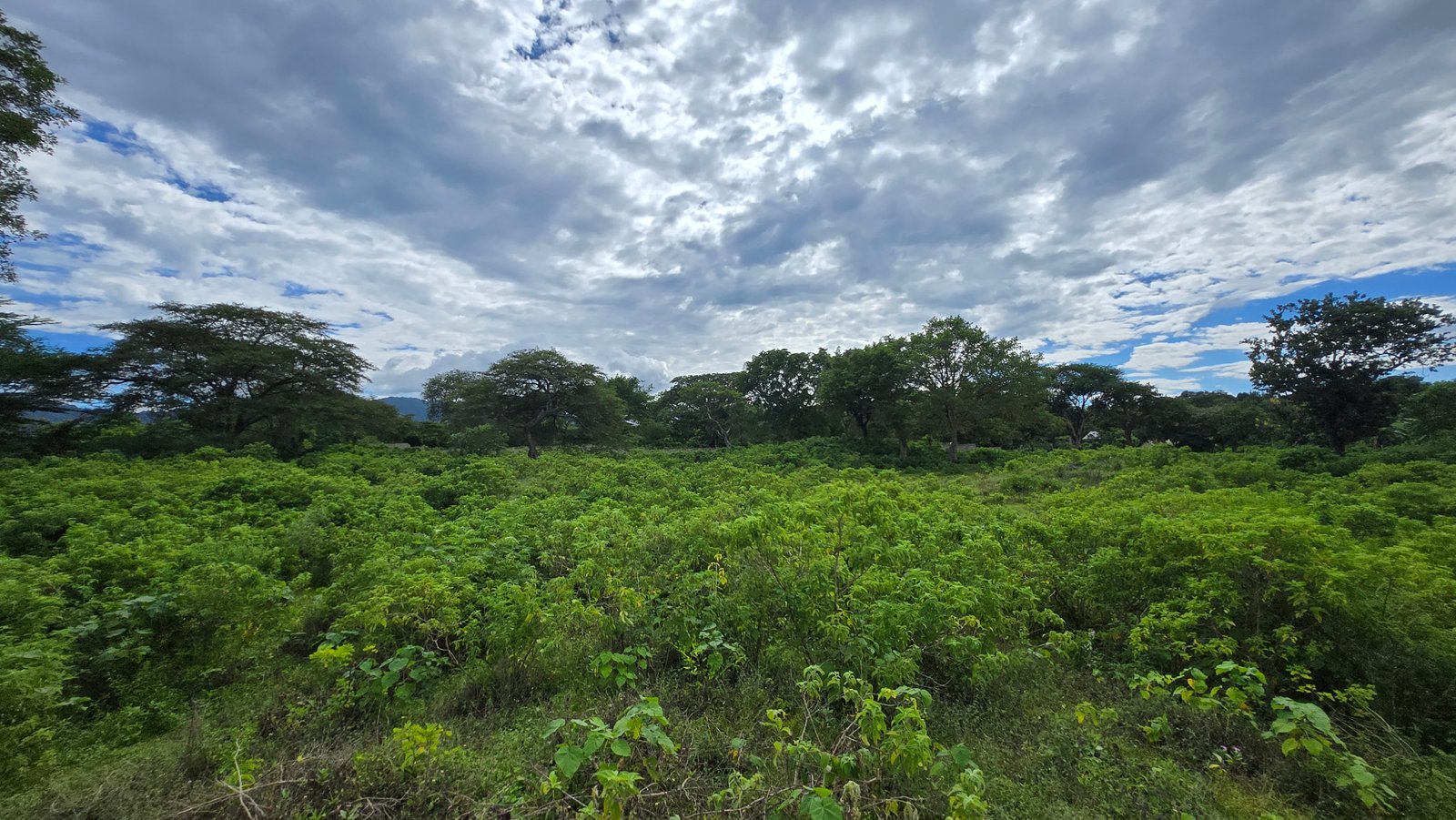 Tanzania farm setting for the UAIT project